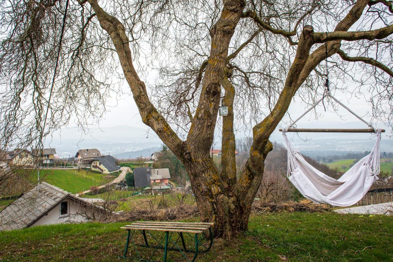 Vineyard Cottage Klemencic Novo Mesto Eksteriør billede