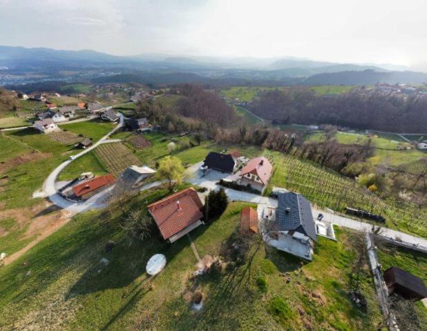 Vineyard Cottage Klemencic Novo Mesto Eksteriør billede