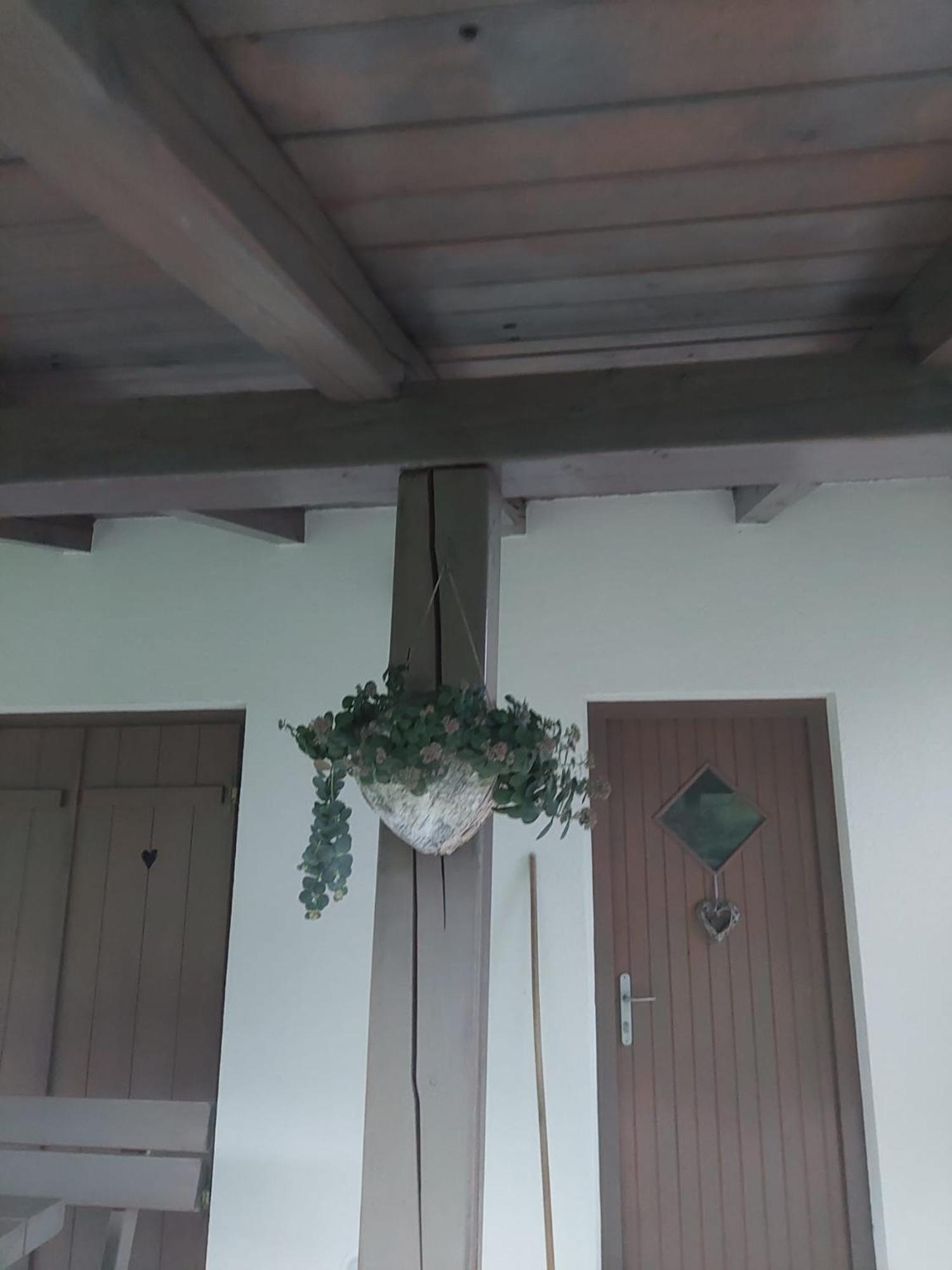 Vineyard Cottage Klemencic Novo Mesto Eksteriør billede