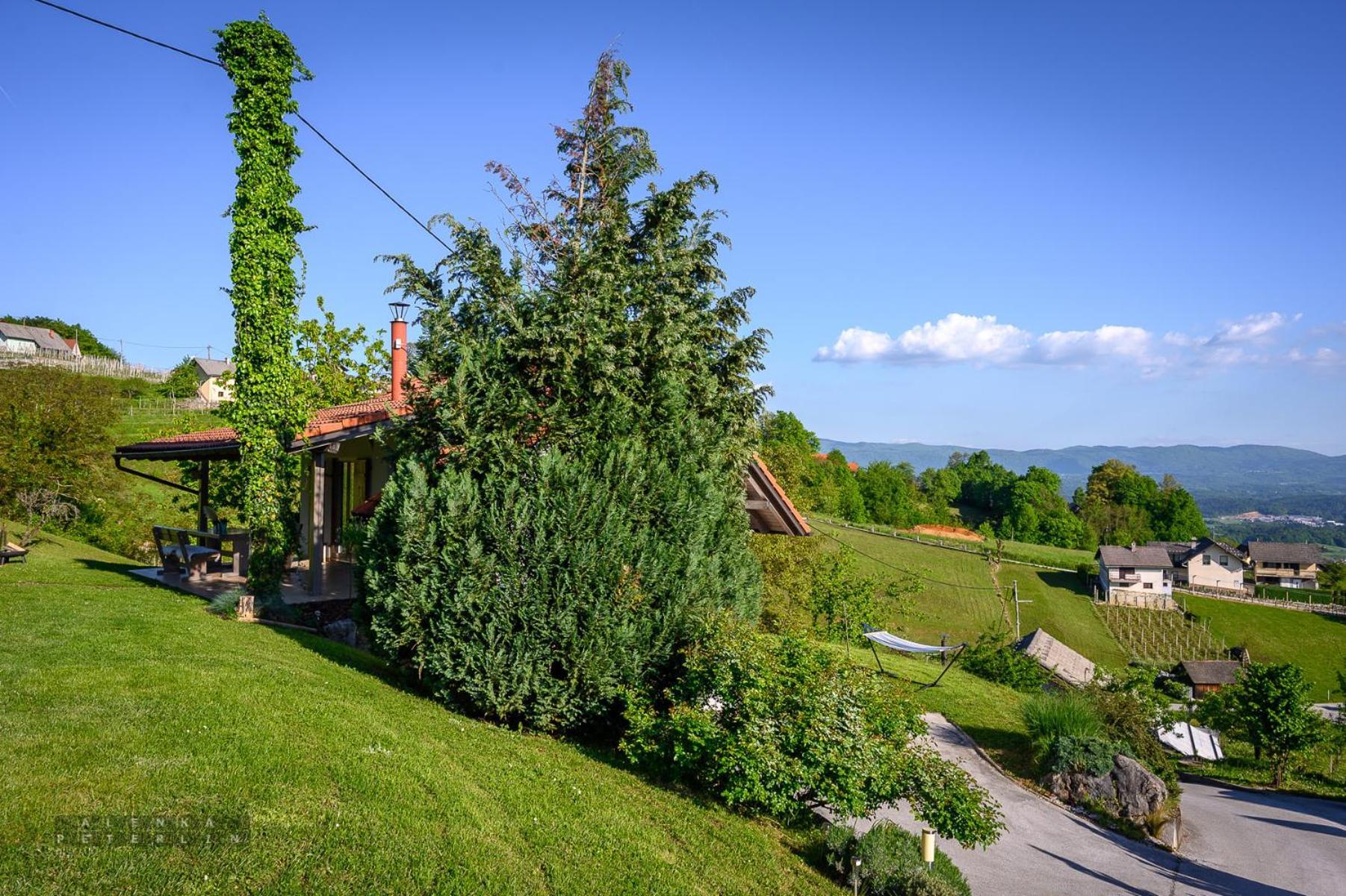 Vineyard Cottage Klemencic Novo Mesto Eksteriør billede