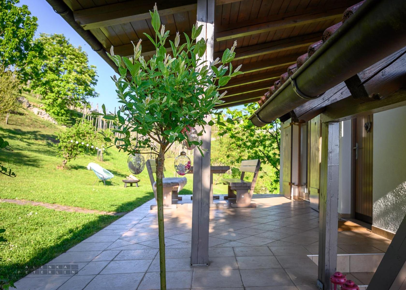 Vineyard Cottage Klemencic Novo Mesto Eksteriør billede